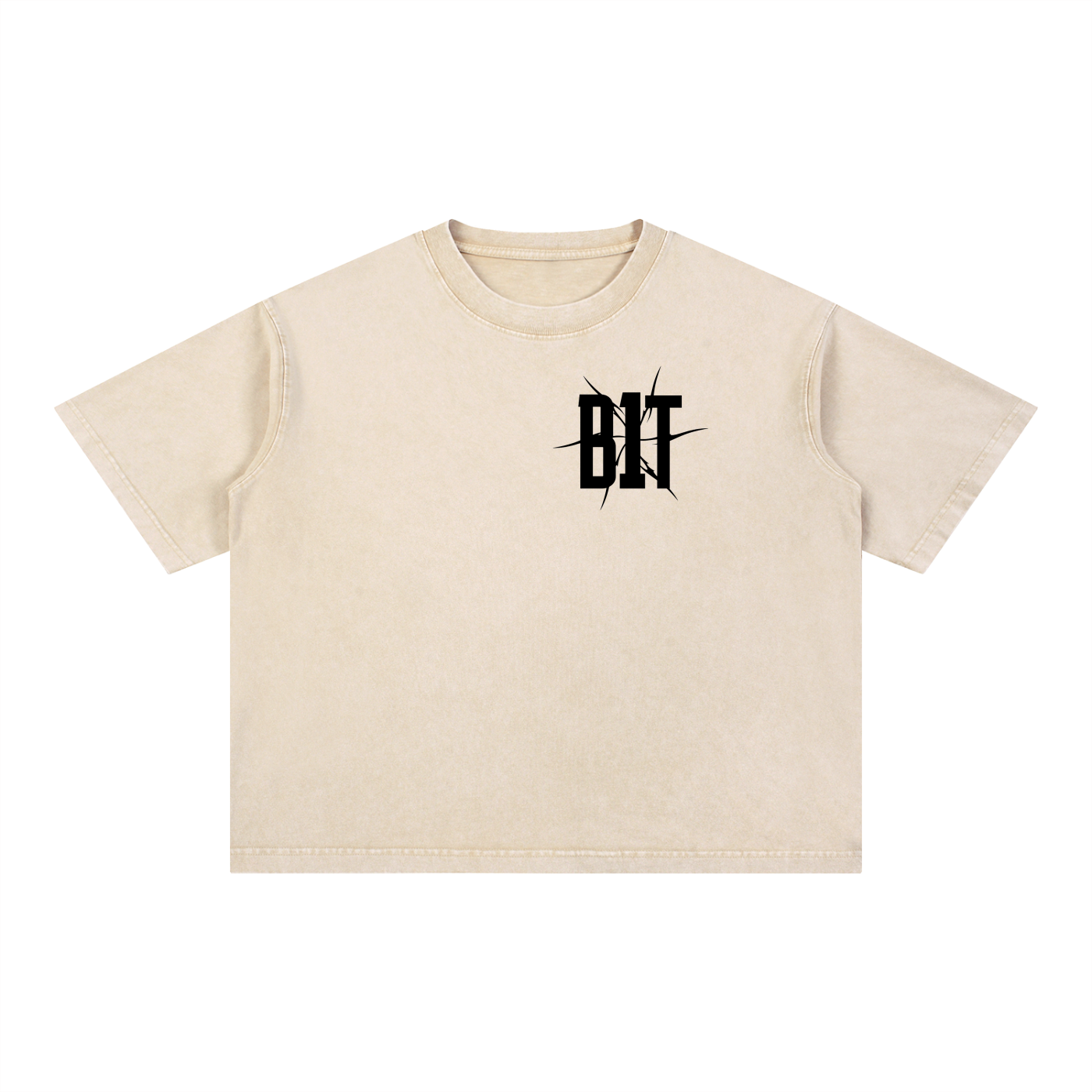 B1T Mineral Wash Boxy Cotton T-Shirt